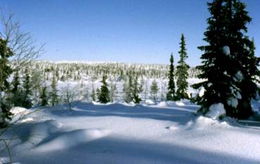 Vinter